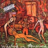 Wasted in America