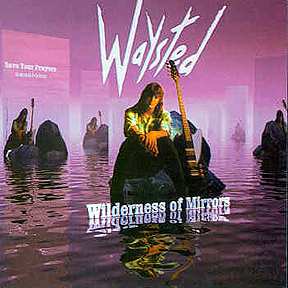 Wilderness of Mirrors