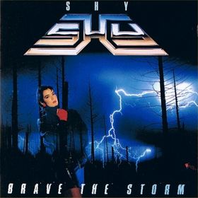 Brave The Storm